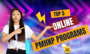 online pmhnp programs